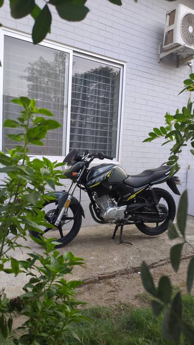 Yamha YBR 125 2025