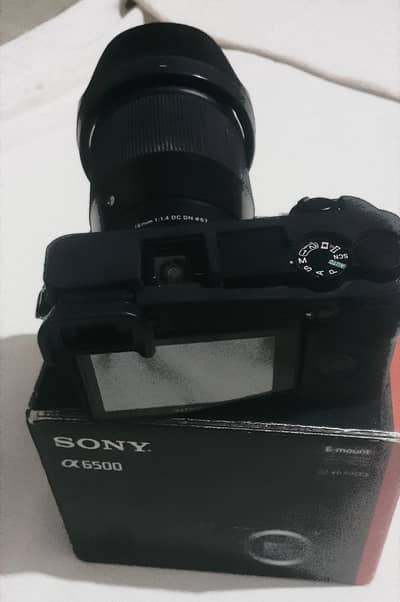 sony a6500 lens sigma 16mm 1.4 candishan 10/10