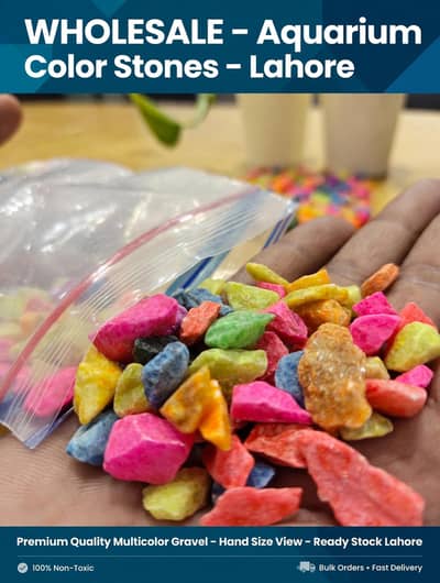 Aquarium Multicolour Stone