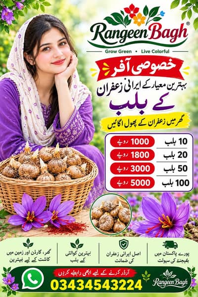 زعفران کے بلب