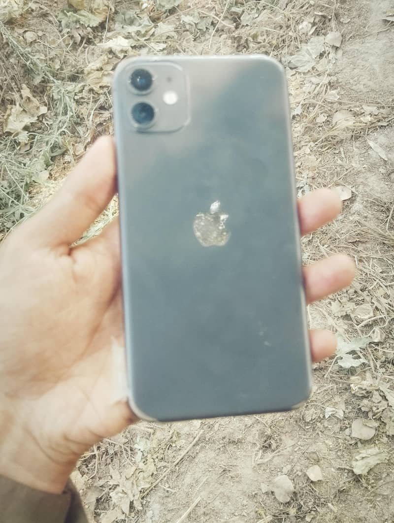 Apple iPhone 11 0