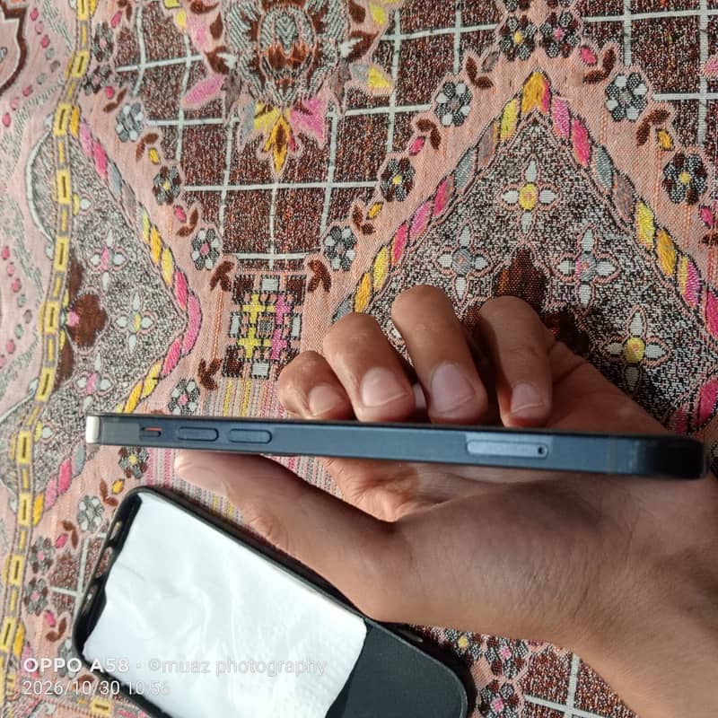 Apple iPhone 12 1