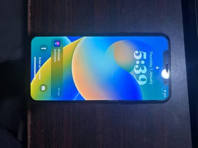 Apple iPhone X