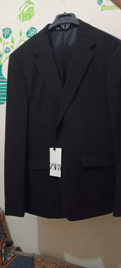 Zara Original Pent coat
