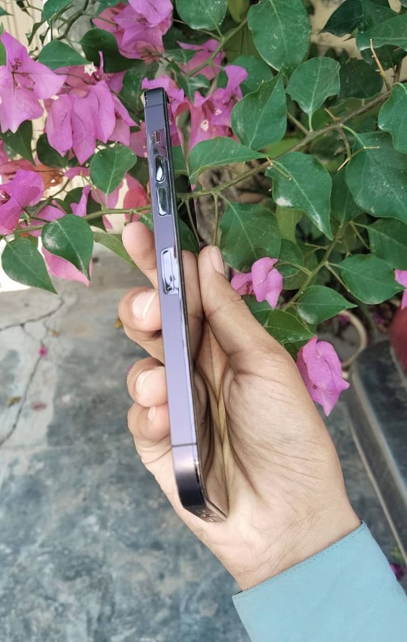 Apple iPhone 14 Pro Max 1