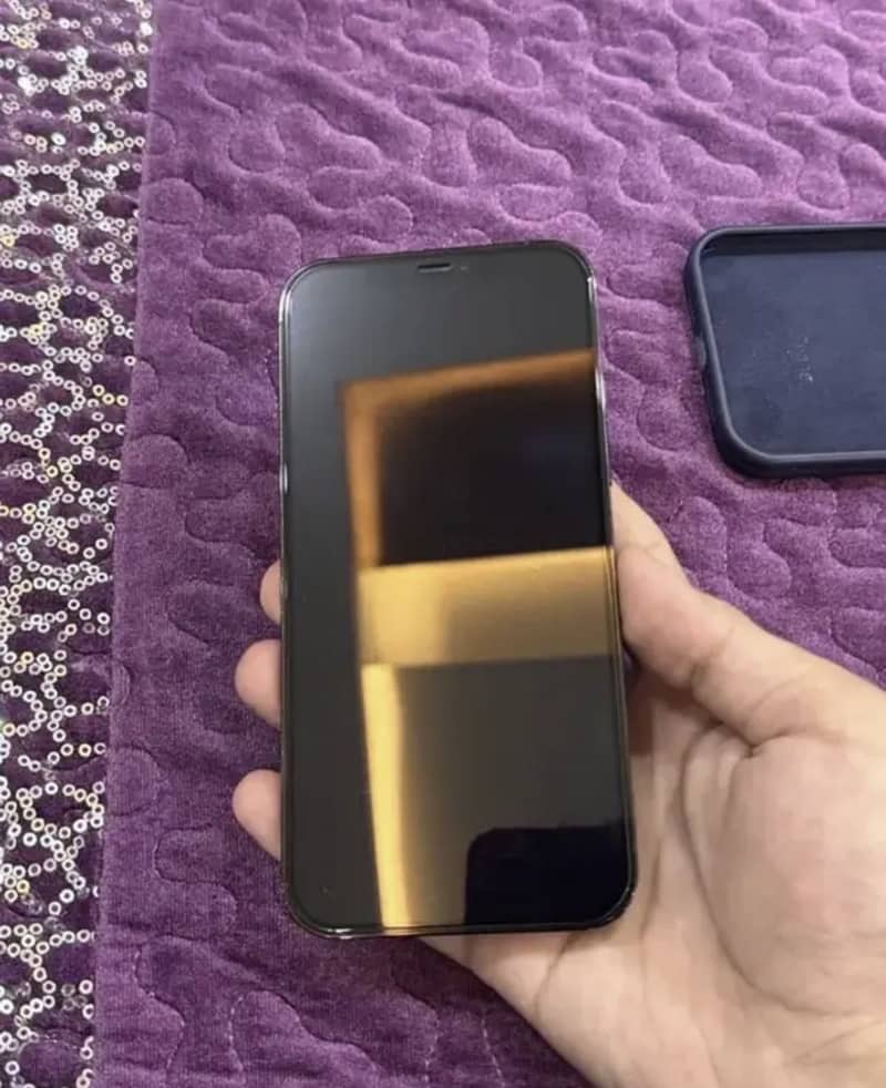 Apple iPhone 12 Pro Max 1