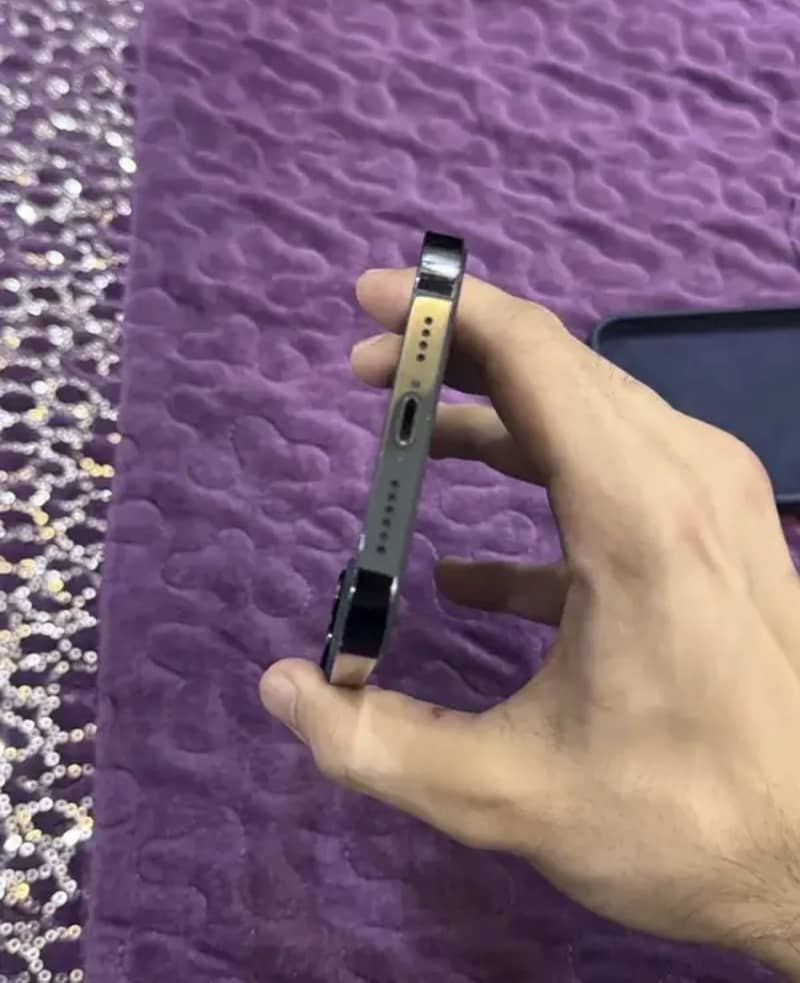 Apple iPhone 12 Pro Max 2