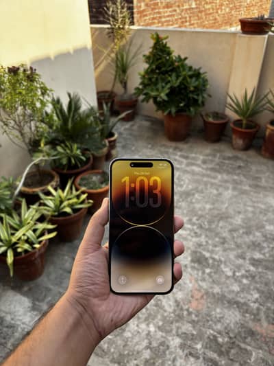 Apple iPhone 14 Pro Max