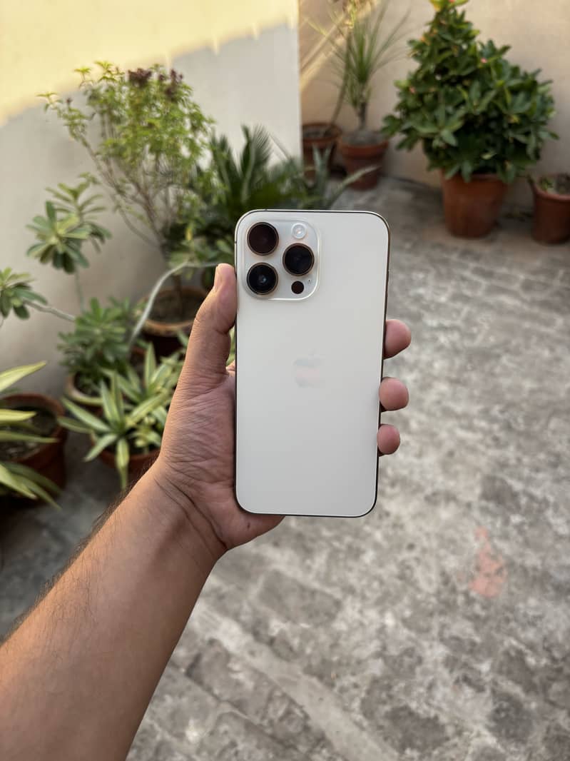 Apple iPhone 14 Pro Max 1