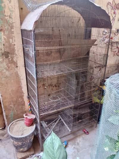 cage for parrots