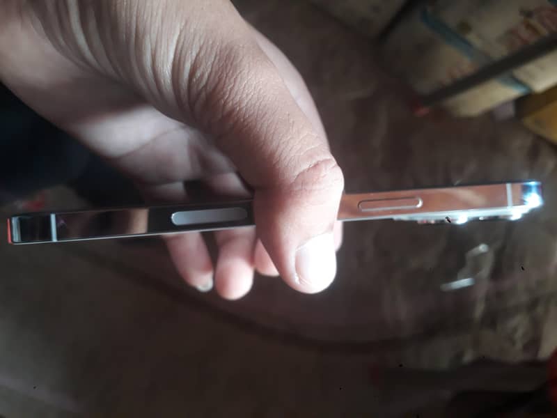 Apple iPhone 13 Pro Max 1