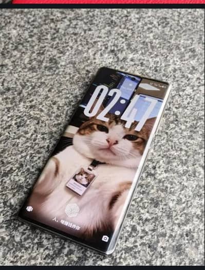 condition 10_10  /-2 month uses warranty baqi hay