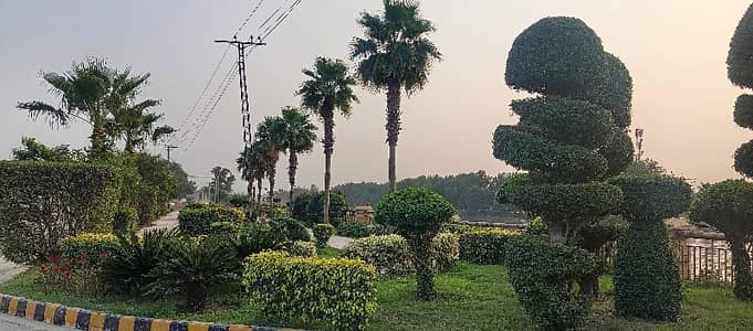 Ajwa City A-Diamond Block 5 Marla Plot avaibale for sale on reasonable price