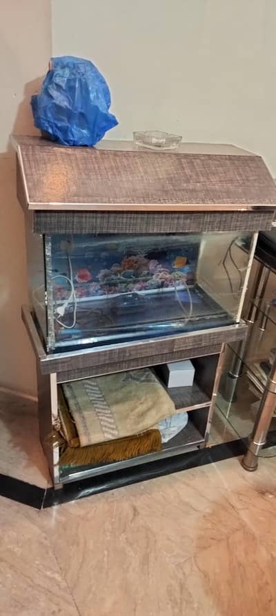 fish aquarium
