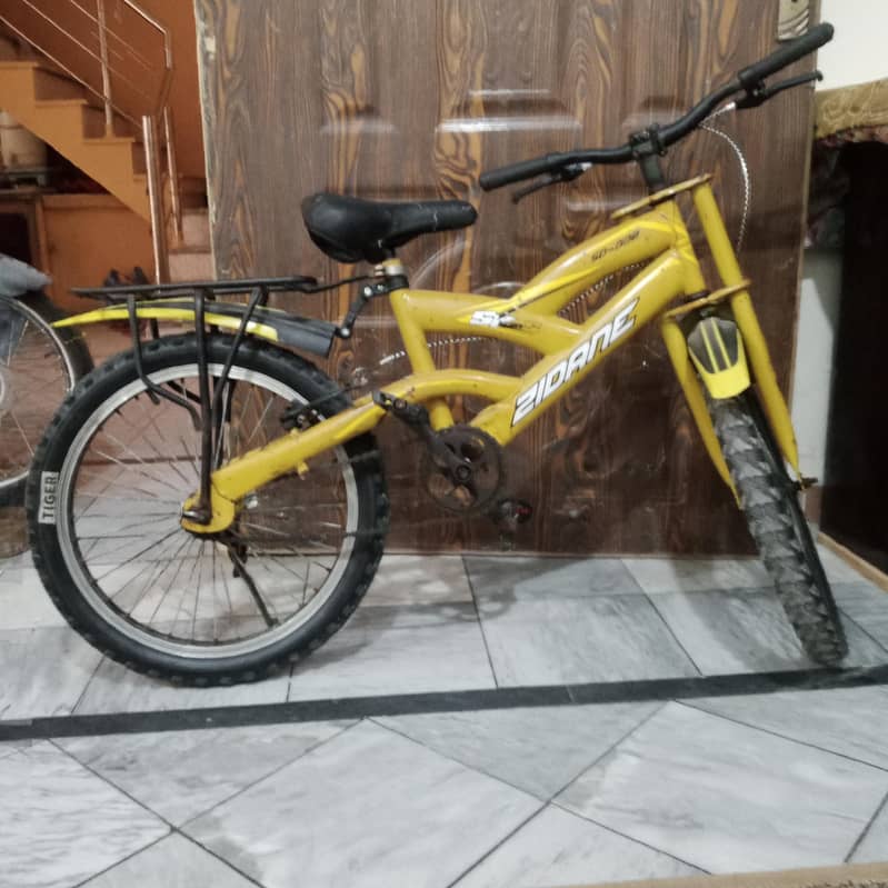 20 inch cycle 1