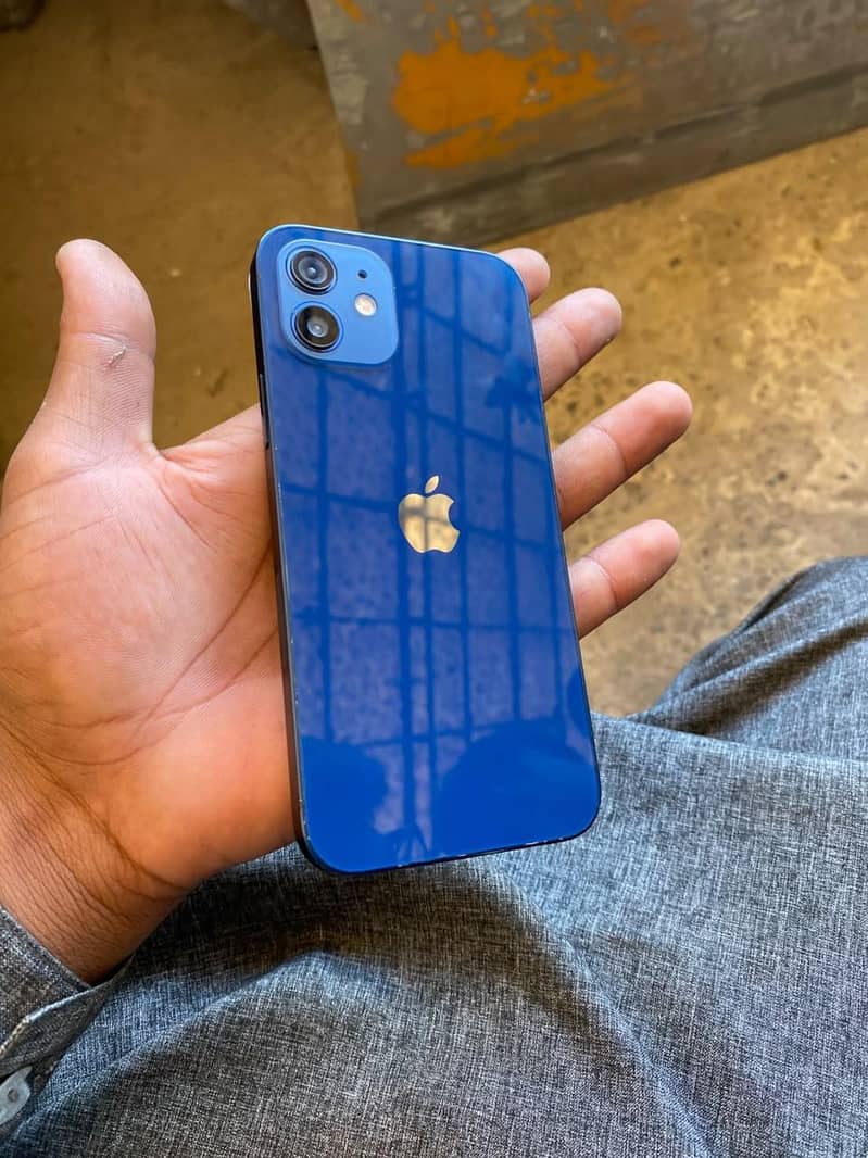 Apple iPhone 12 1