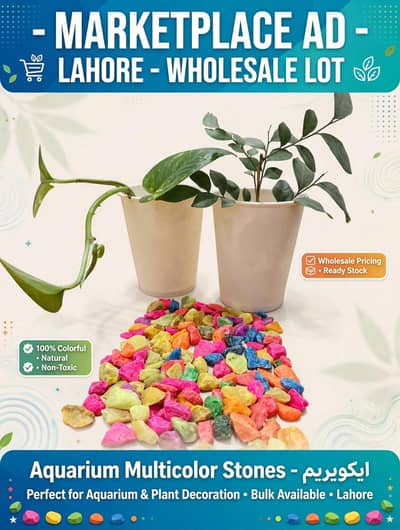 Aquarium Gravel Stones Multicolour - 500 Gram