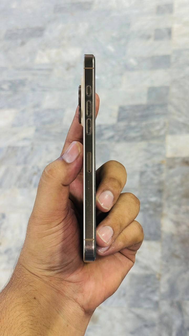 Apple iPhone 16 Pro Max 6