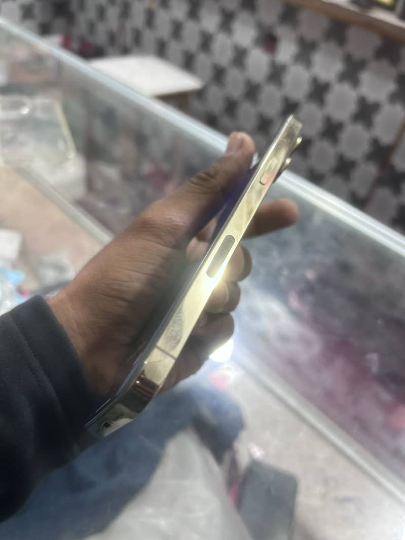 Apple iPhone 13 Pro Max 1