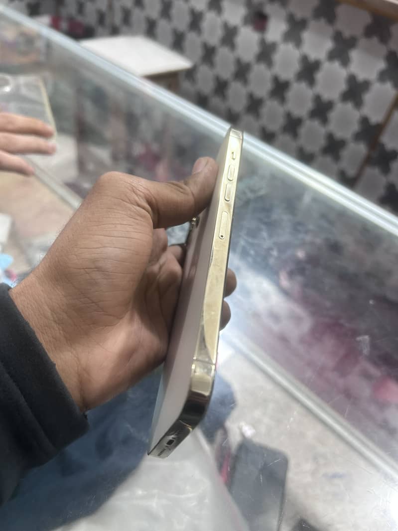 Apple iPhone 13 Pro Max 5