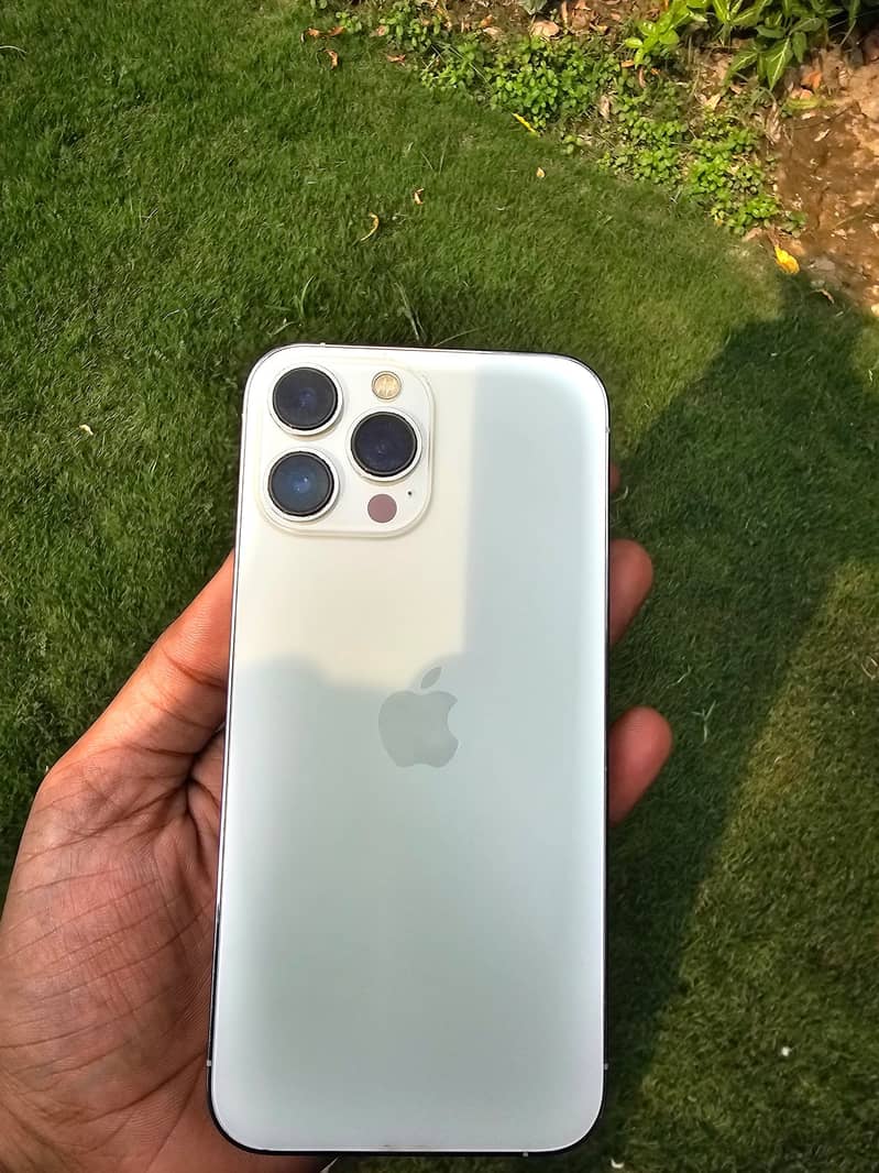 Apple iPhone 13 Pro Max 1