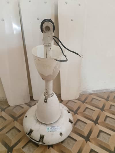 selling ceiling Fan