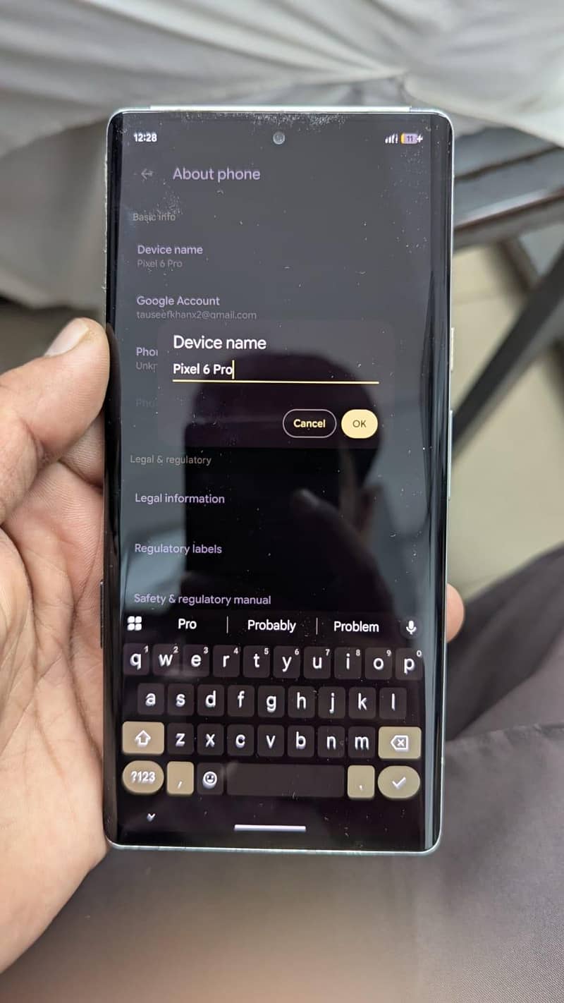 google pixel 6pro 1