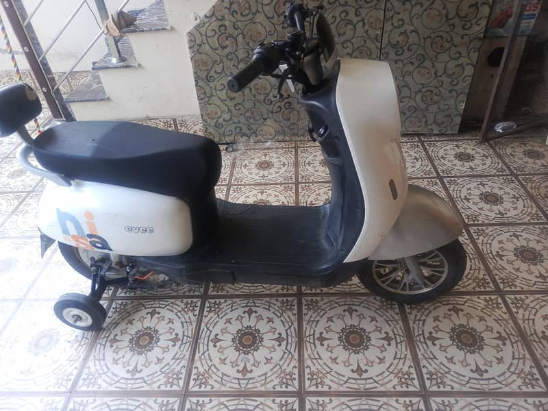evee nisa 1