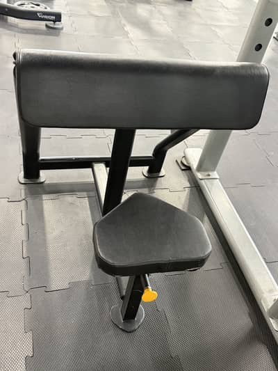 Commercial-grade Preacher Curl Bench available for sale.