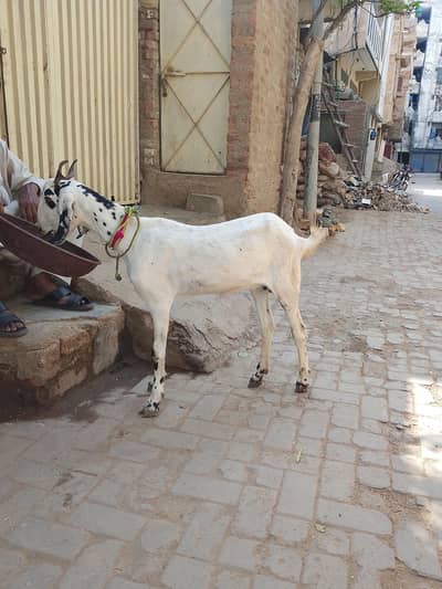 Achi path hai