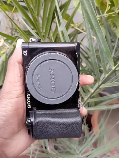 Sony a6100