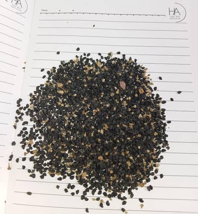 Nasarpuri pyaz ke beej available fot sale