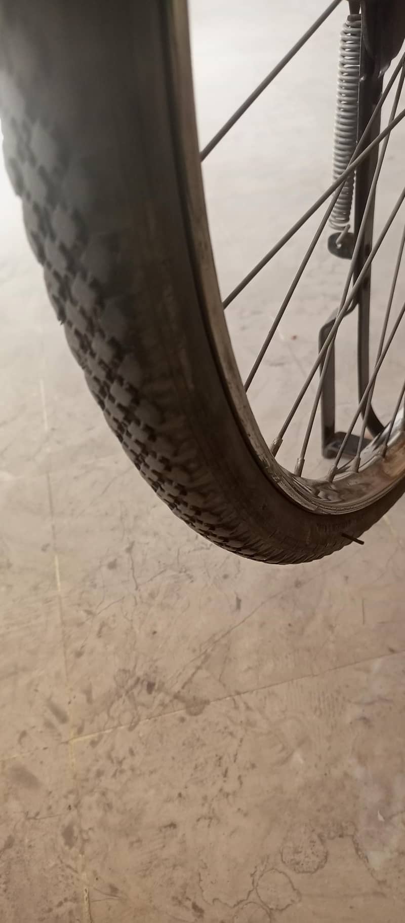 Eagle cycle 1