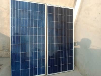Set of 4 Solar Plate Only in (28,000]