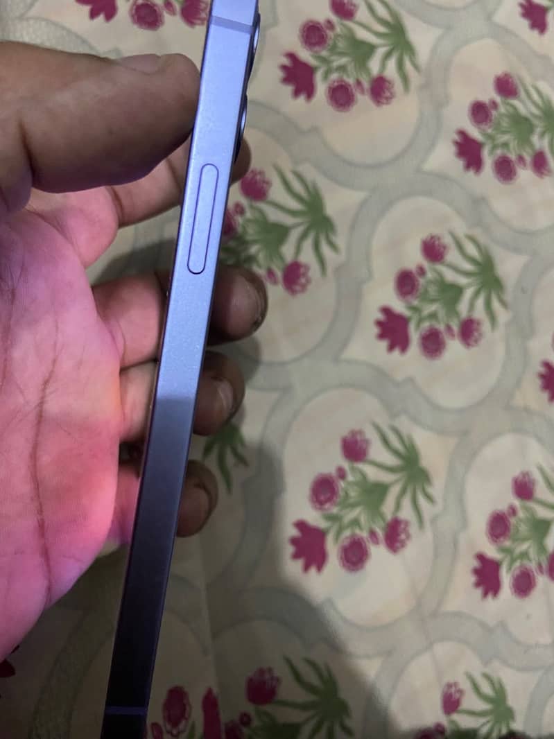 Apple iPhone 12 1