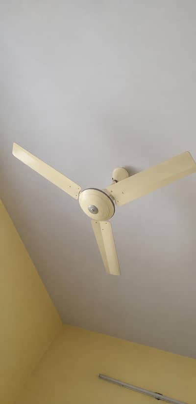 ceiling fans for sale