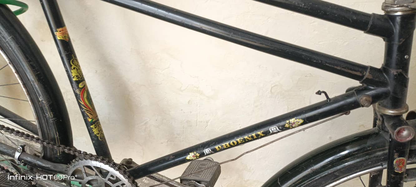 phoenix bicycle 1