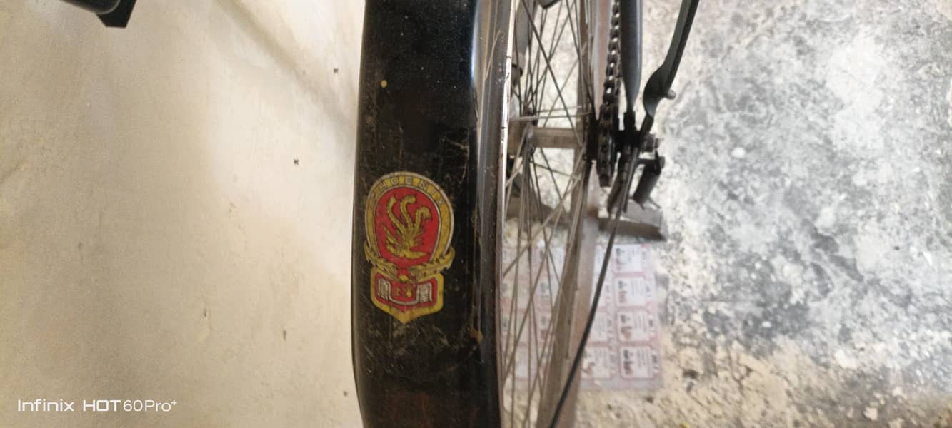 phoenix bicycle 2