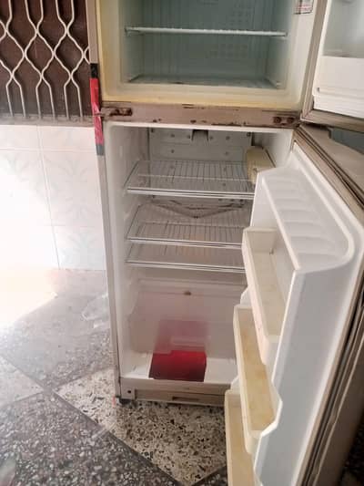 dawalnce fridge medium size