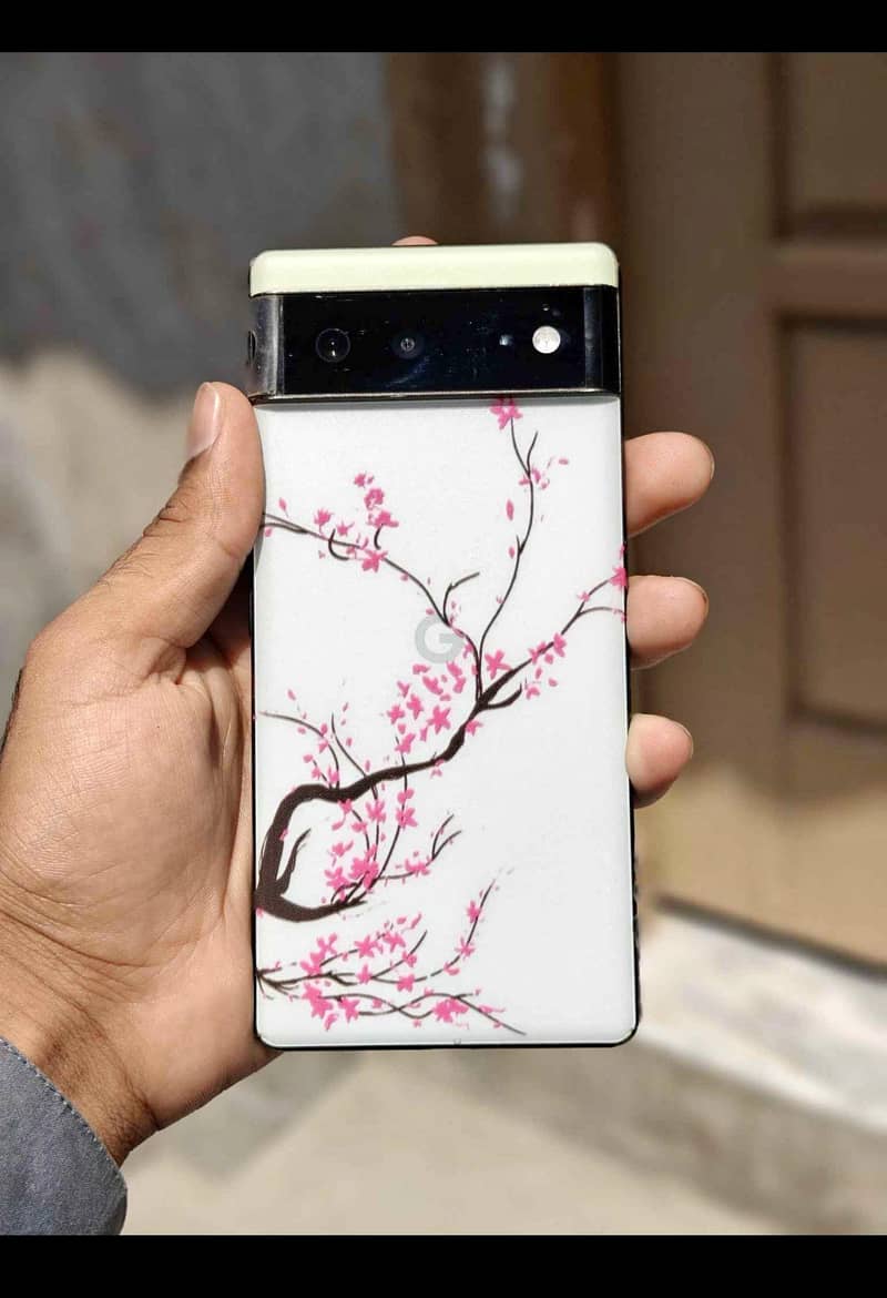 Google Pixel 6 Pro 0