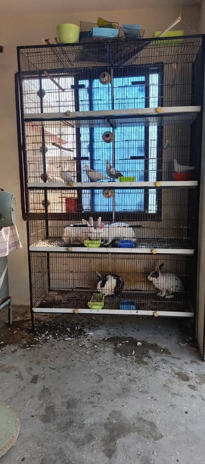 8 portion angle cage for sale