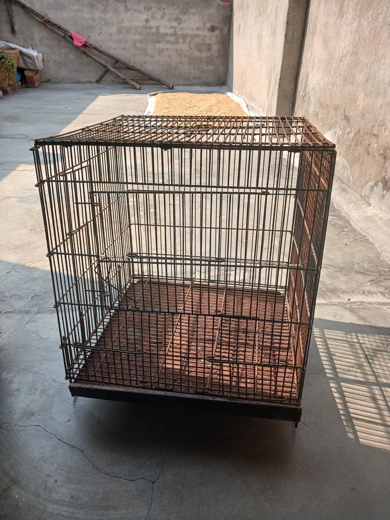 parrit cage 0