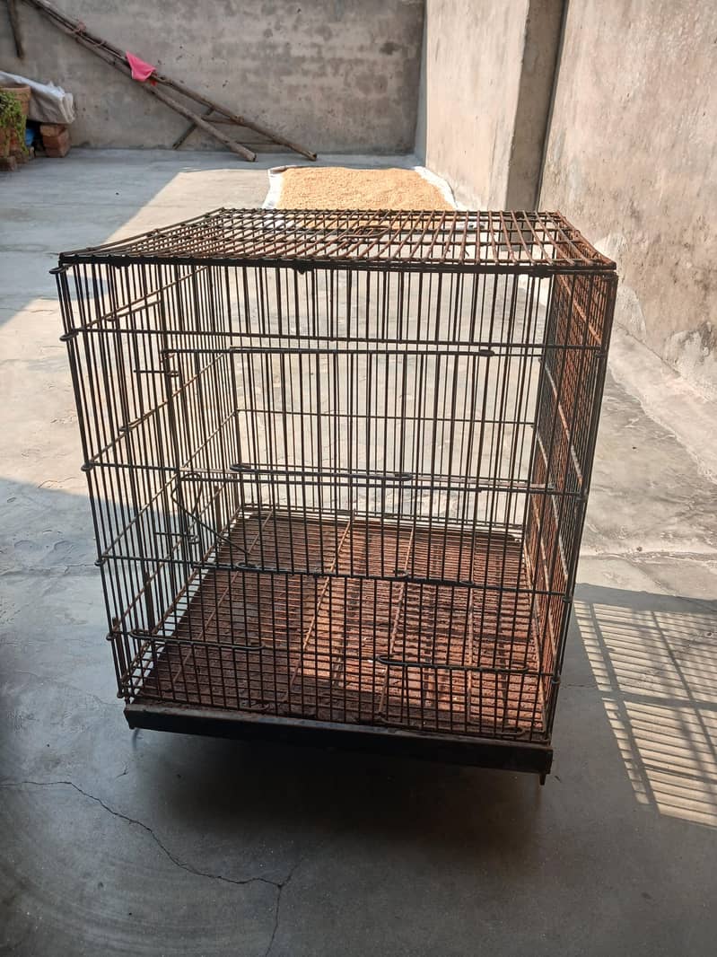 parrit cage 1