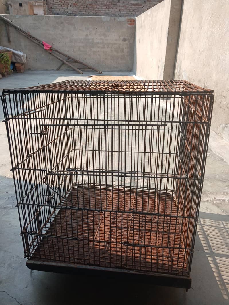 parrit cage 2