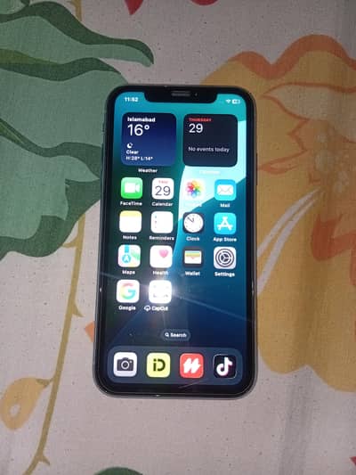 iPhone XR 1984