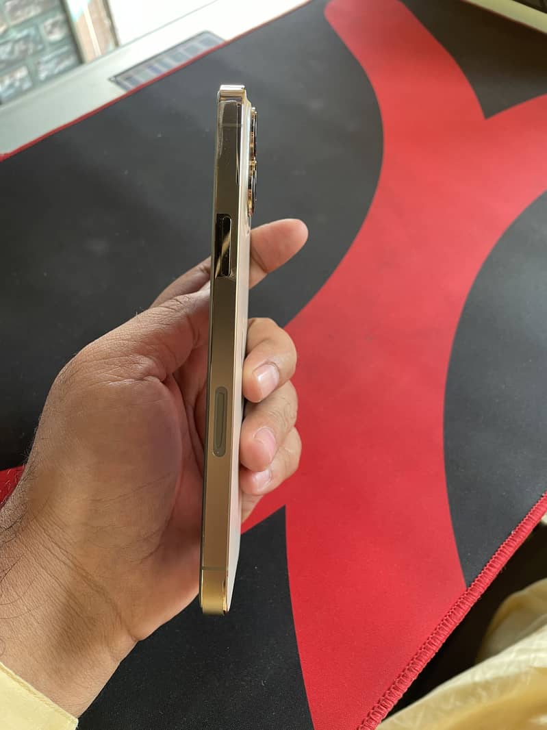 Apple iPhone 13 Pro Max 1