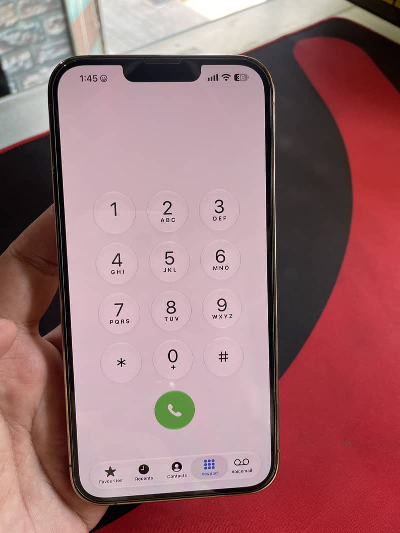 Apple iPhone 13 Pro Max 10