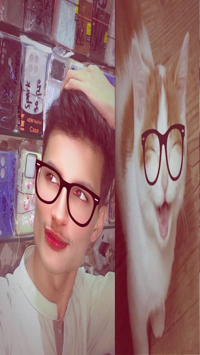Zain Ali