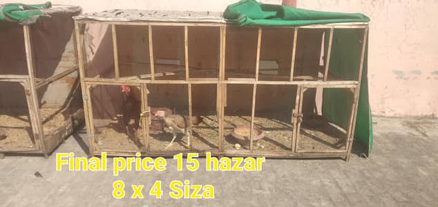 Murgiyo ka Cage / Hen Cage