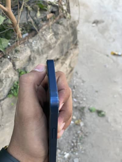 Apple iPhone 12